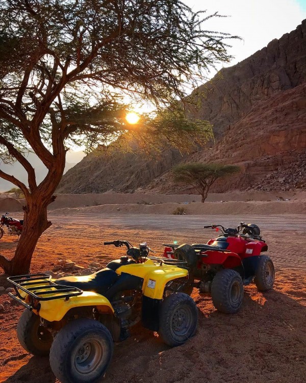 Экстрим-Сафари (багги + квадрациклы + верблюды)