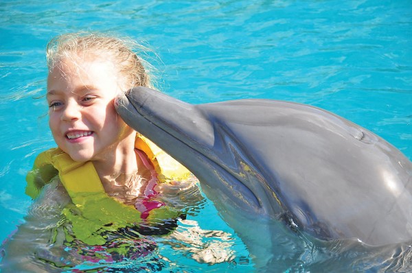 Плавание с дельфинами