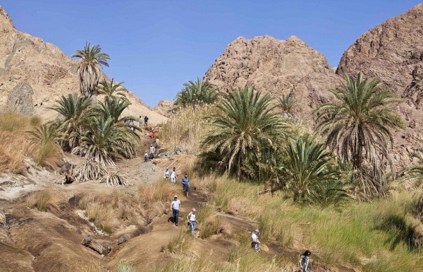 Золотой Дахаб